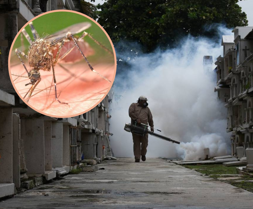 Veracruz segundo estado con más casos de dengue en el país e