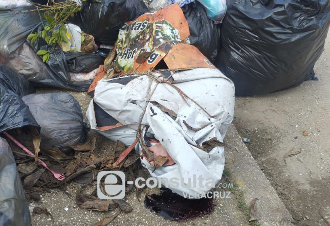 basura-cadaver-coatzacoalcos_1.png