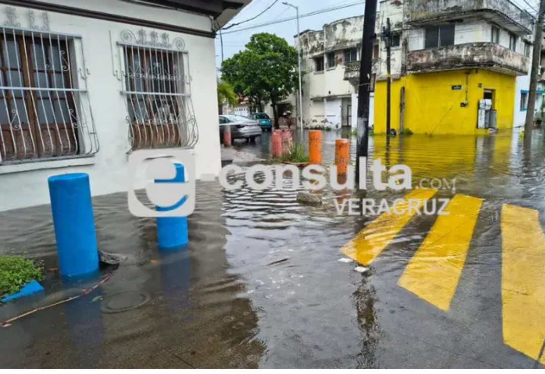 lluvias-artesanos-heroismo_veracruzano_3.png