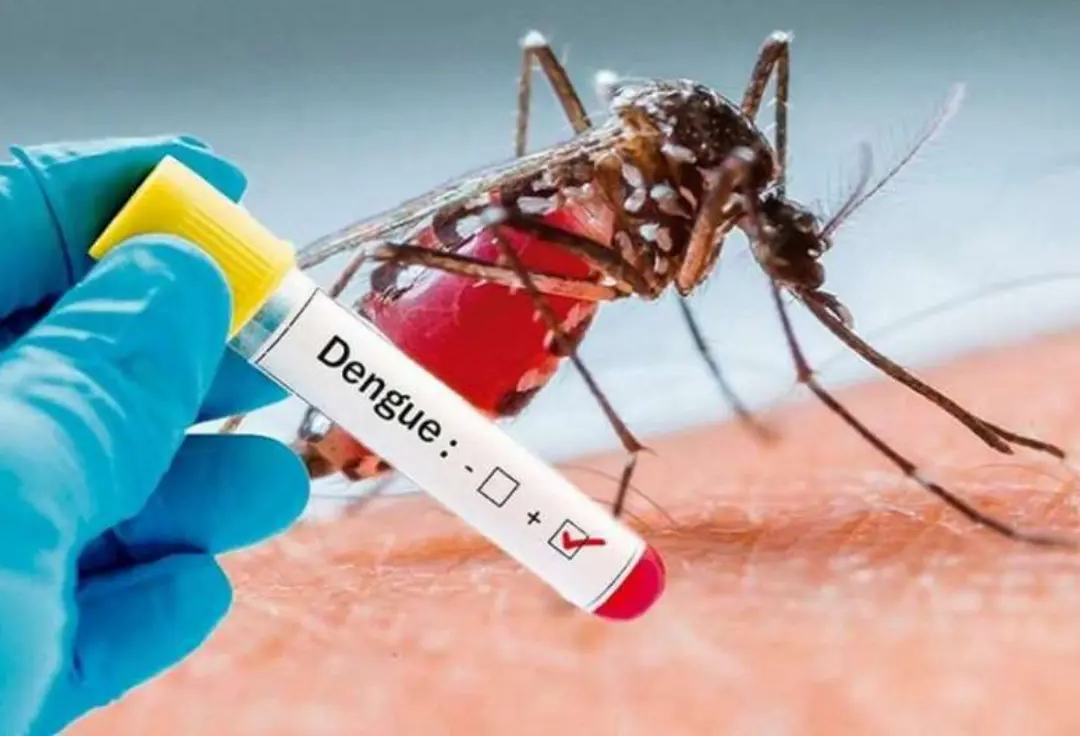 dengue-veracruz-2026.png