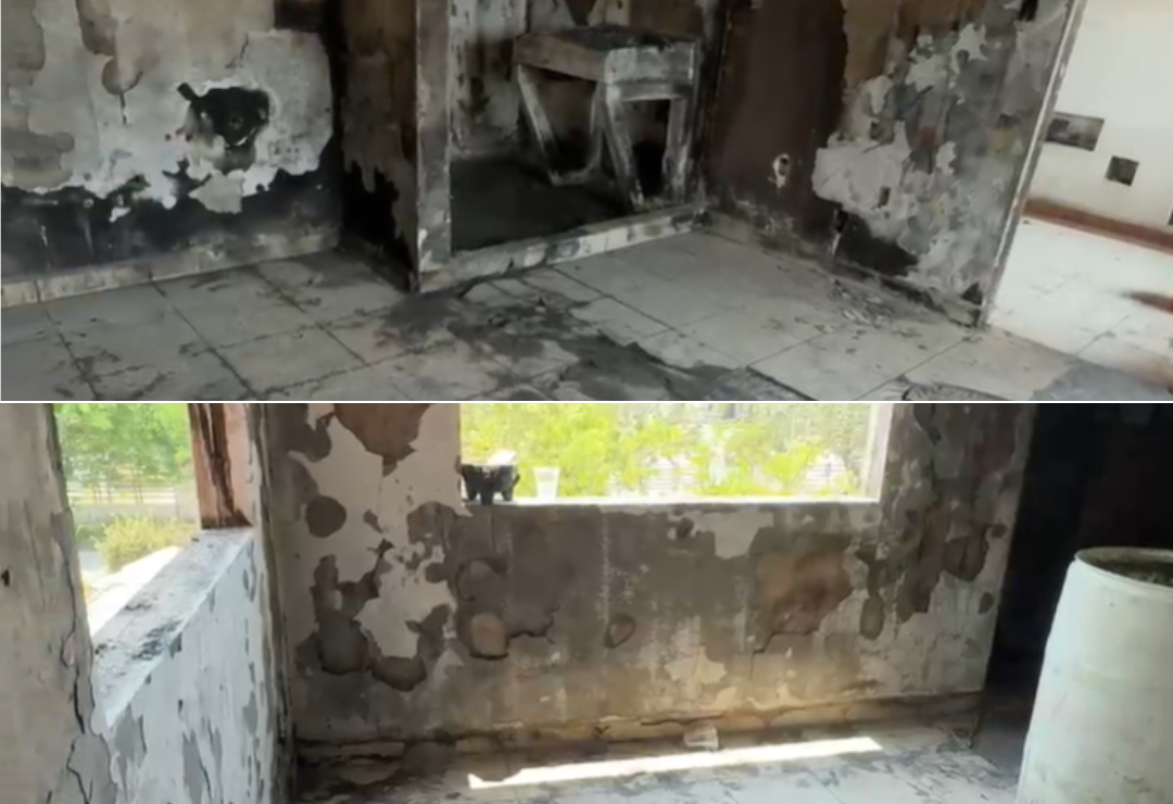 departamento-incendio-palma_real.png