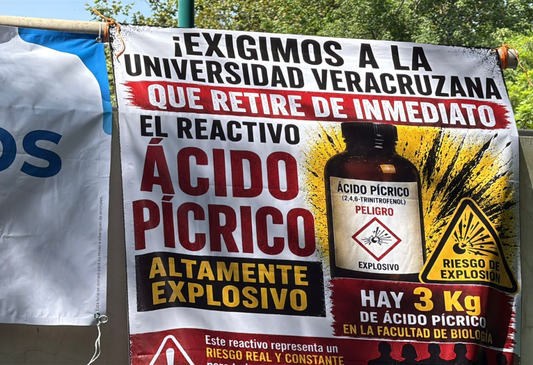 uv-reactivo_explosivo-biologia_de_xalapa.png