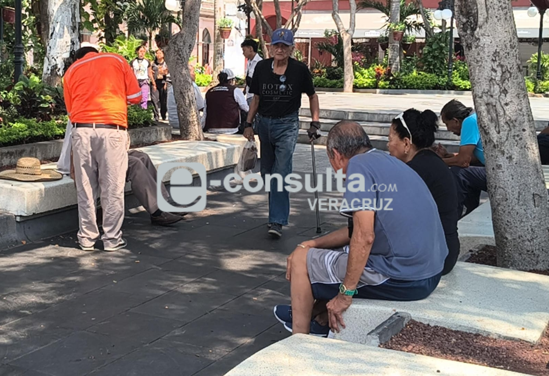 celular-adultos_mayores-veracruz.png