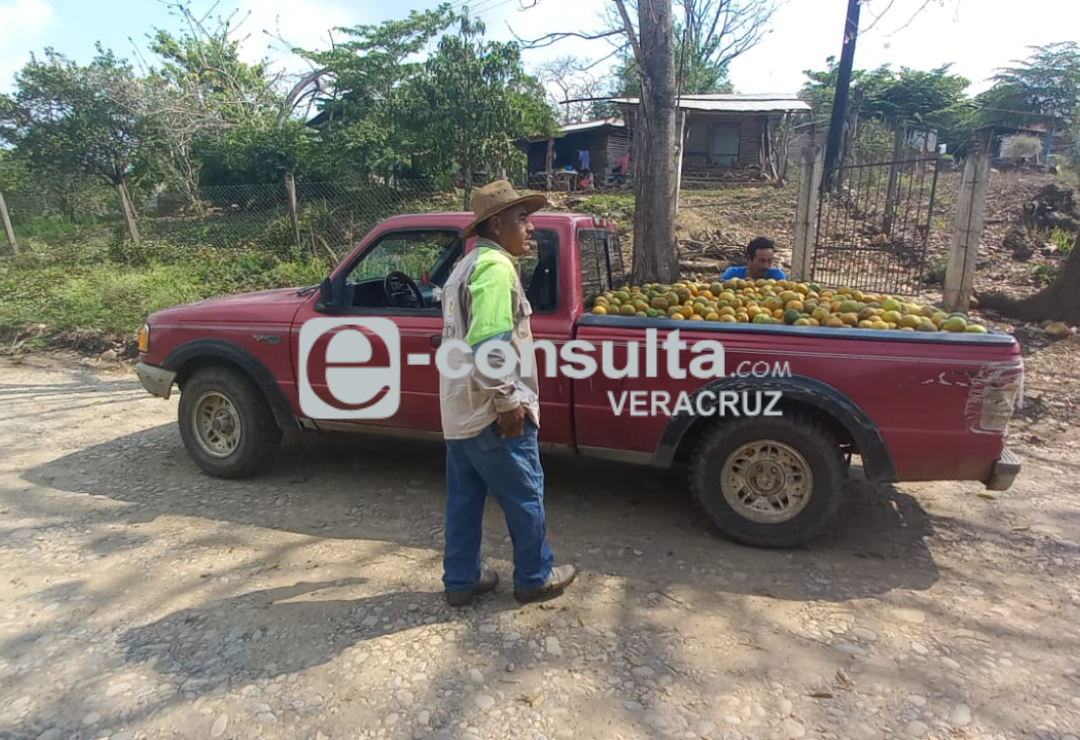 naranja-cosecha-chicontepec.png