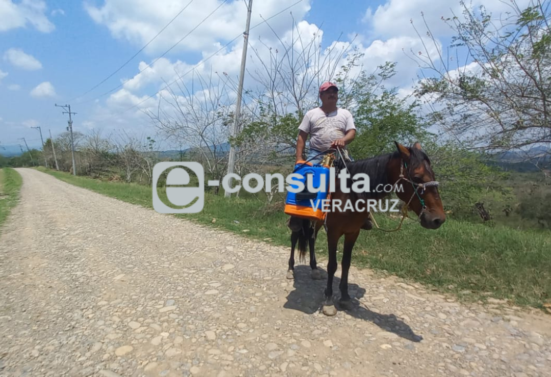 tlacolula-carretera-chicontepec.png