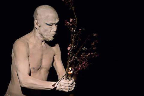 Katsura Kan regresa a Xalapa image 1