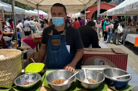 ¿Pambazos con insectos? En Xalapa los puedes encontrar