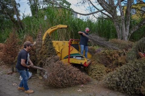 Continúa campaña Recicla tu Navidad en Xalapa