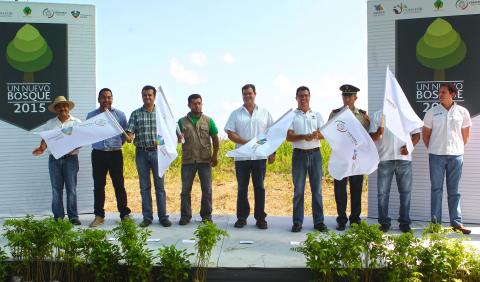 En la administración de Ramón Poo se han sembrado 29 mil árboles y plantas image 2