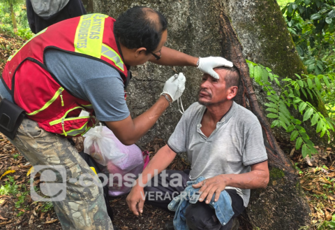 Ataque de abejas en Fortín deja a dos cortadores de café graves