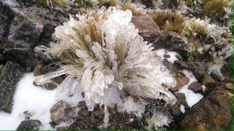 Foto: Especial Foto: Especial