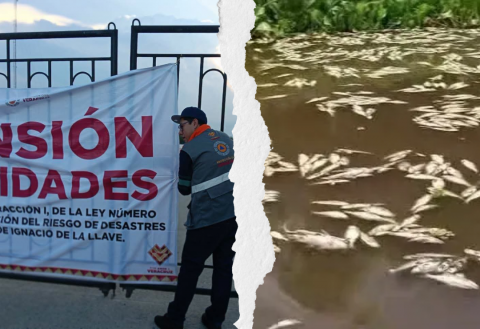 Suspenden a alcoholera tras muerte de peces en Cuenca del Papaloapan