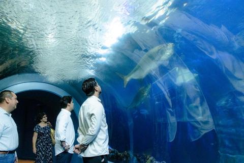 Exhiben filtraciones de agua en peceras del Aquarium de Veracruz
