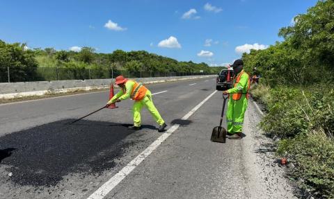 Reparará Sheinbaum carreteras dañadas por Tren Maya en Veracruz