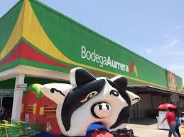 Foto: Internet Foto: Internet