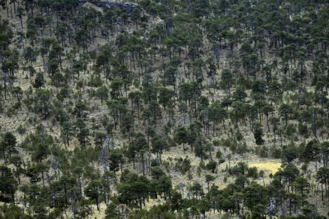 Foto: AVCNoticias Foto: AVCNoticias