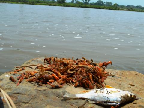 Foto: AVCNoticias Foto: AVCNoticias