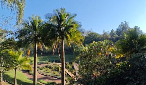 Clima en Veracruz: este martes 14 de abril aumentará la temperatura Clima en Veracruz: este martes 14 de abril aumentará la temperatura