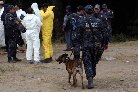 Foto: Policía Federal Foto: Policía Federal