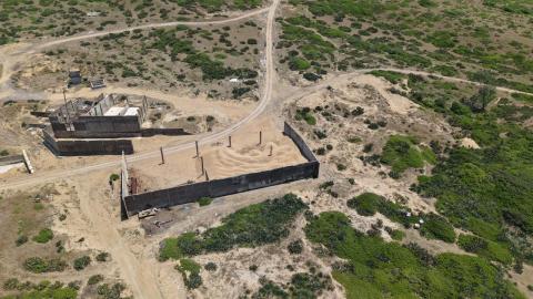 Tortugas serían afectadas por extracción de arena en Alvarado