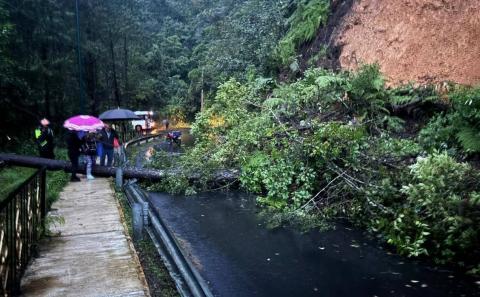 Derrumbes incomunican comunidades en la sierra de Zongolica