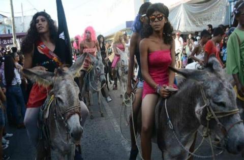 Con encuesta, alvaradeños piden realizar ‘Encierro de Burros’