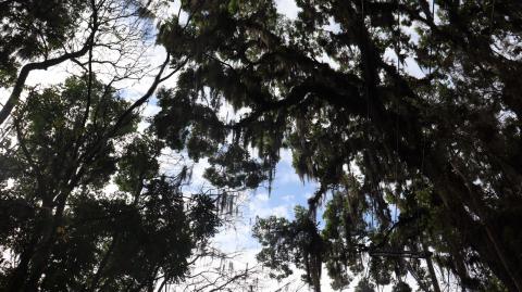 Fortín apuesta por el avistamiento de aves. Como motor económico y ambiental