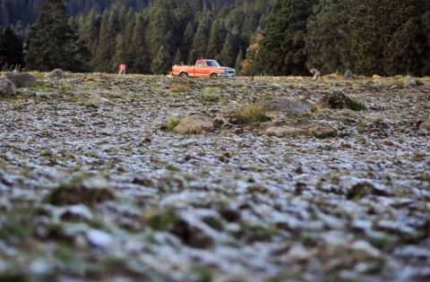 Foto: AVCNoticias Foto: AVCNoticias