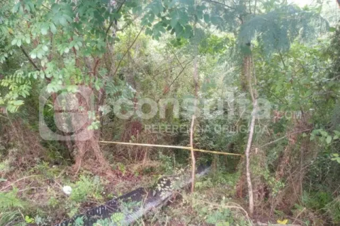 muerto-desaparecido-México_Tuxpan