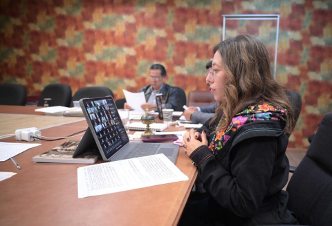 Nombra Congreso del Estado un Concejo Municipal para Tamiahua