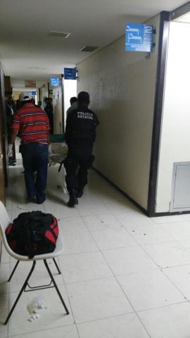 Comando irrumpe en IMSS de Cosamaloapan para rematar a su victima