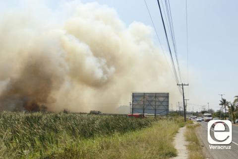 Fuera de control incendio en área natural protegida de la ciudad de Veracruz