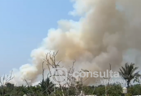 Reportan incendio forestal en la reserva de Arroyo Moreno