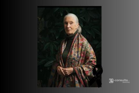Muere Jane Goodall, pionera en estudio de los chimpancés