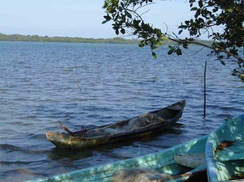 Foto tomada de Internet Foto tomada de Internet