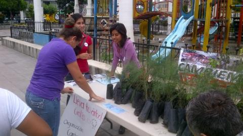 Cambiemos Tempoal realiza campaña 'Adopta un árbol'