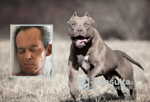 Mauricio murió tras ser atacado por un pitbull en Boca del Río