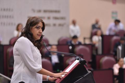 Crearía Congreso de Veracruz su Unidad de Igualdad de Género