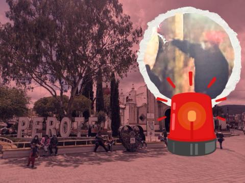 Víctimas acusan 80 vehículos robados por banda en Perote