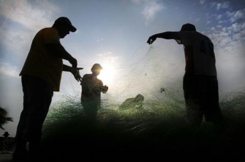 Foto: AVCNoticias Foto: AVCNoticias