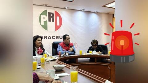 Nadie quiere ser candidato en Tamiahua por miedo al crimen: PRI