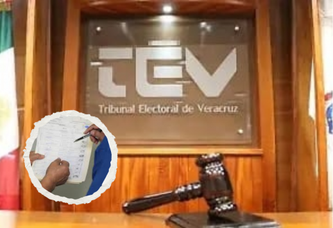 TEV amplía plazos para asociaciones que buscan ser partidos