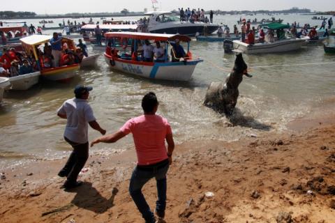 Foto: AVCNoticias Foto: AVCNoticias