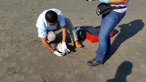 Foto: E-Consulta Foto: E-Consulta