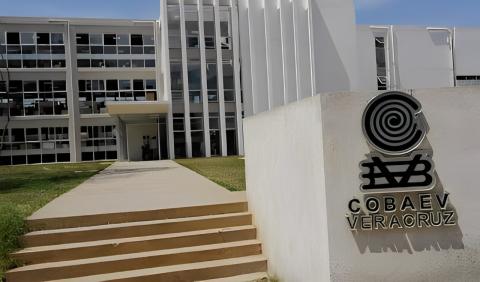 Cobaev permitió acoso laboral contra 3 trabajadores: CNDH