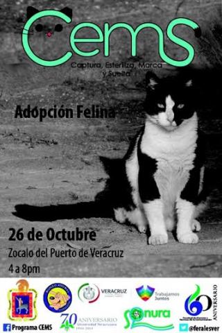 Foto: Especial Foto: Especial