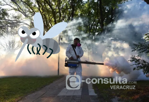 Estos son los municipios de Veracruz con más casos de dengue
