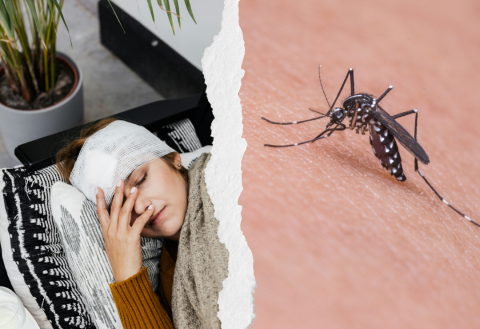 Veracruz, cuarto lugar en dengue. Estos municipios son foco rojo