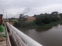 Alarma en Coatzacolacos por avistamiento de cocodrilo de 2 metros 