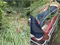 Hallan a mujer golpeada y tirada entre la maleza, en Cosoleacaque